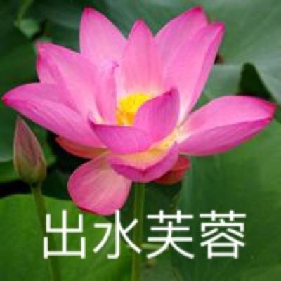360宅时光新版本下载